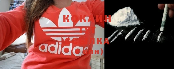 гашиш Богданович
