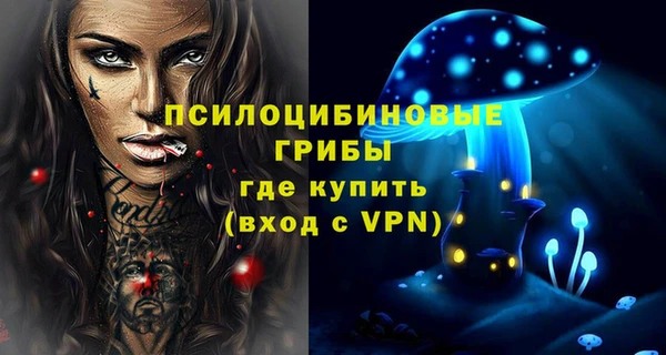 гашиш Богданович