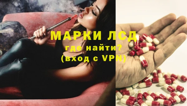 гашиш Богданович