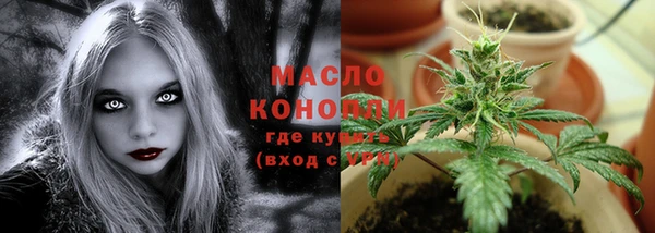 гашиш Богданович