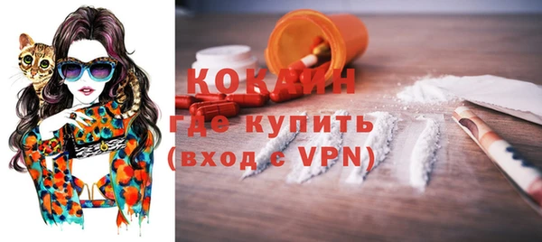 твердый Богородицк