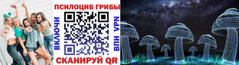 Псилоцибиновые грибы Psilocybine cubensis Калуга